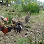 La Grange De Pachon *